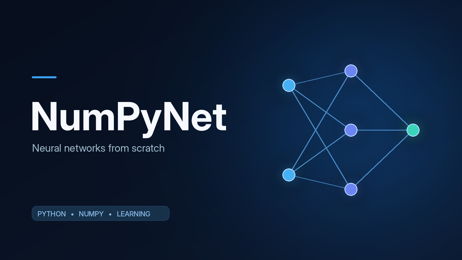 NumPyNet cover: neural networks from scratch, with a connected network diagram and Python, NumPy, and learning labels.